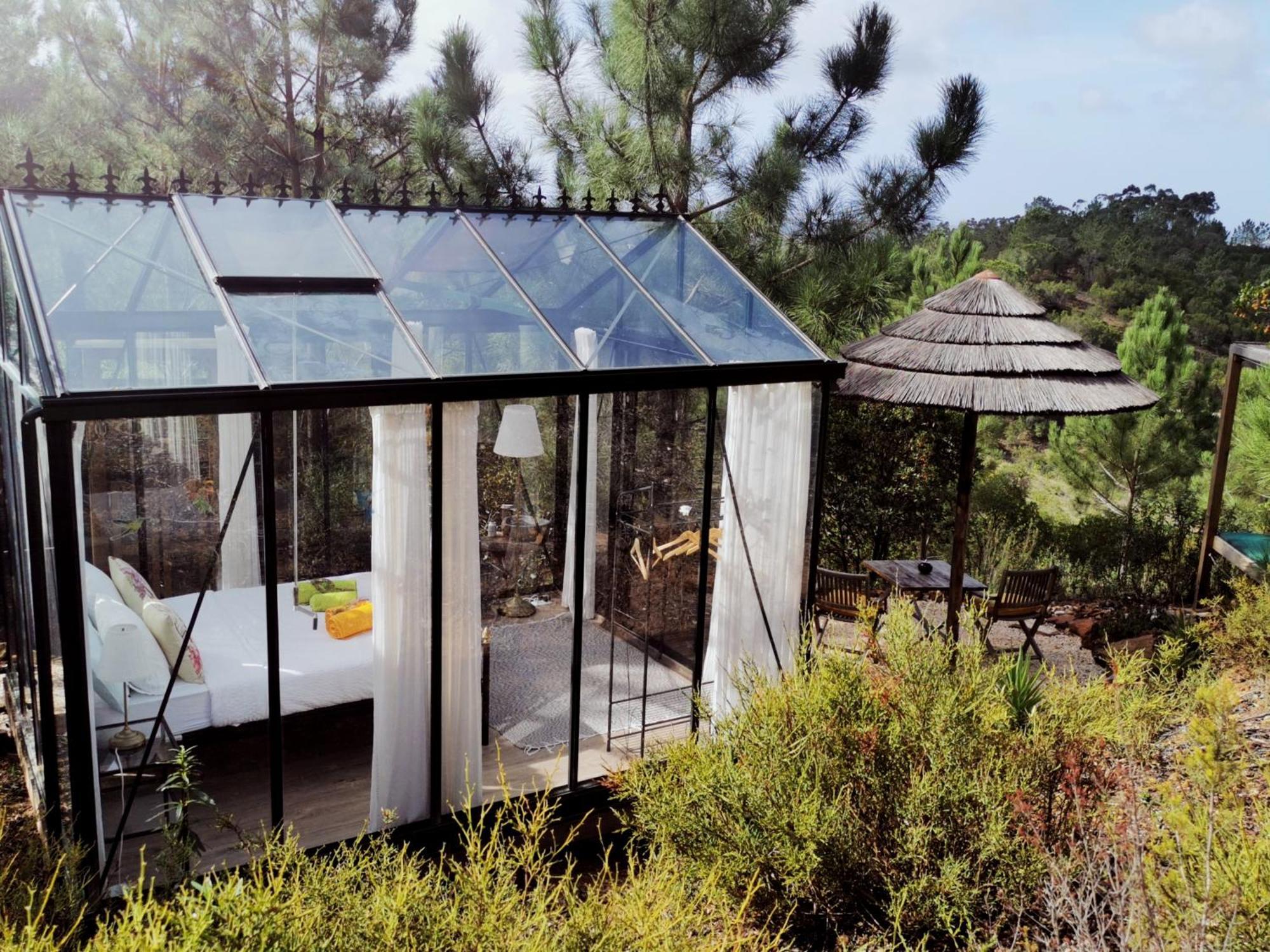 Romantic Skyview Glasshouses Рогил Екстериор снимка